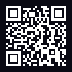 High risk QR code — raw IP address